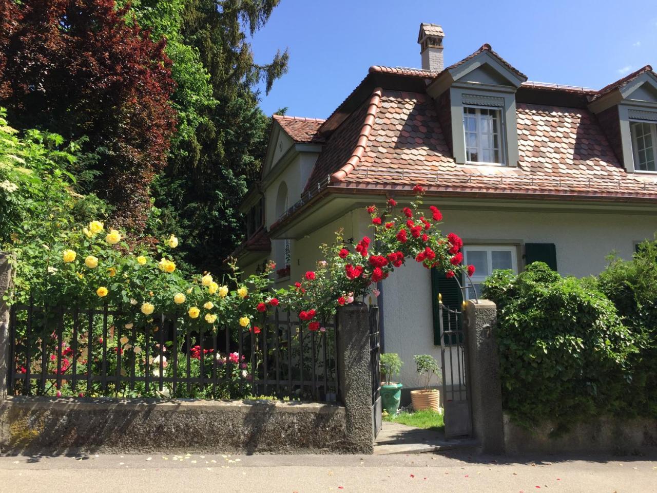 伯尔尼野玫瑰住宿加早餐旅馆住宿加早餐旅馆 外观 照片